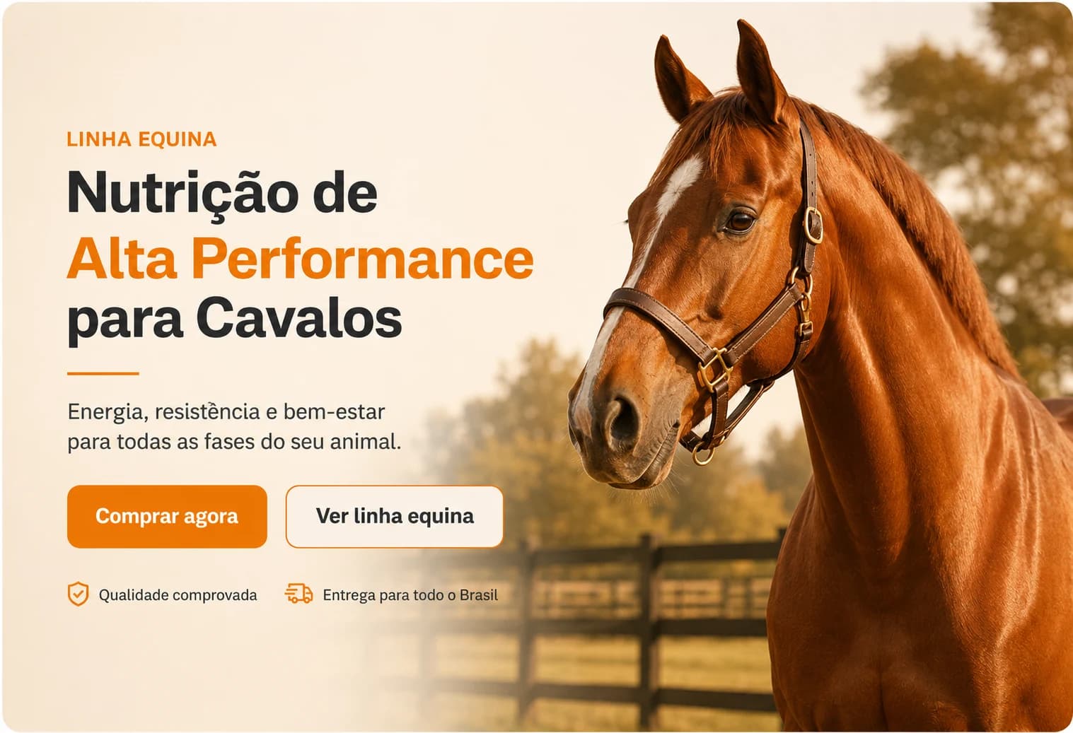 Cavalo baio de perfil em pasto cercado, ao entardecer
