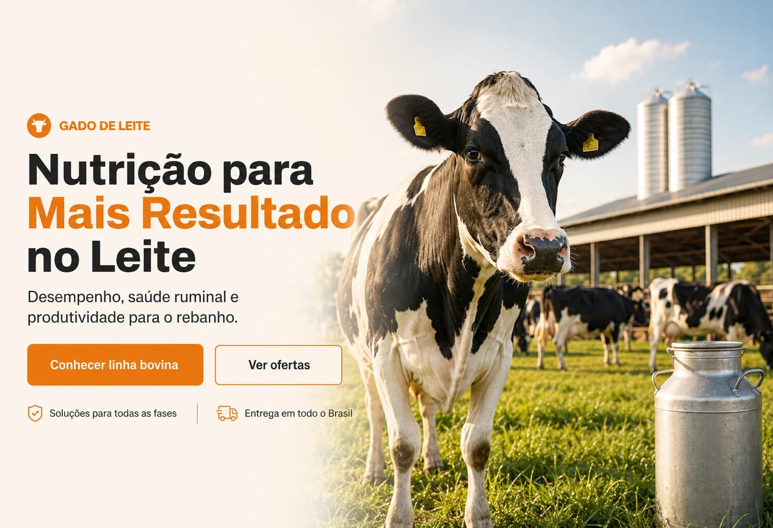 Vacas holandesas em pasto com silos e ordenha ao fundo
